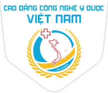 Trường Cao đẳng Công nghệ Y - Dược Việt Nam tuyển dụng Nhân viên pháp chế - hành chính